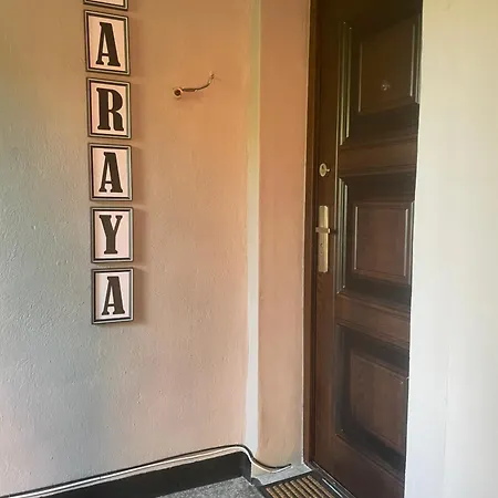 сарая ретро стил