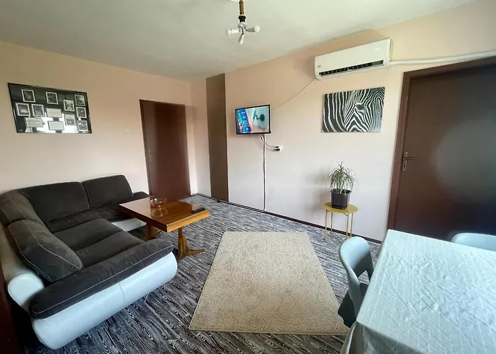 сарая ретро стил スヴィシュトフ